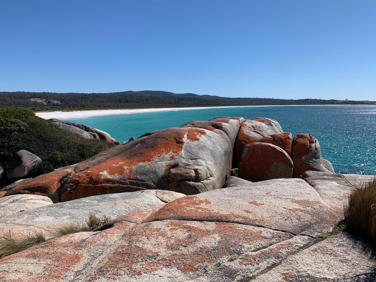 Villa Bay Of Fires Great Escape Binalong Bay Exterior foto